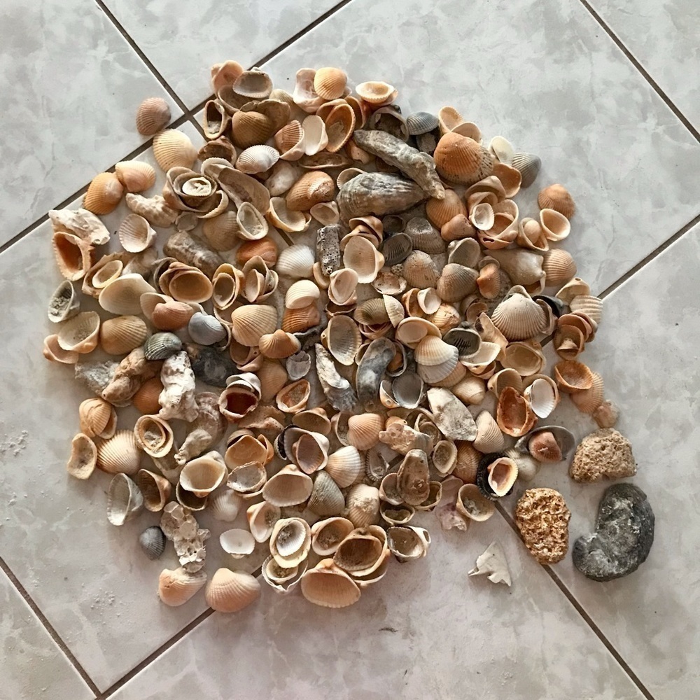 Custom shell bundle — PLEASE READ